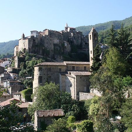 Rustic Liguria Villa Ceriana Dış mekan fotoğraf