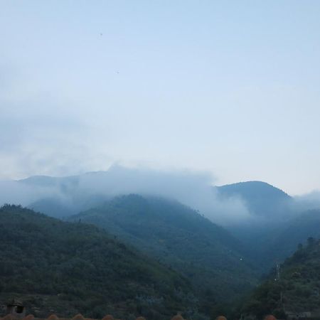 Rustic Liguria Villa Ceriana Dış mekan fotoğraf