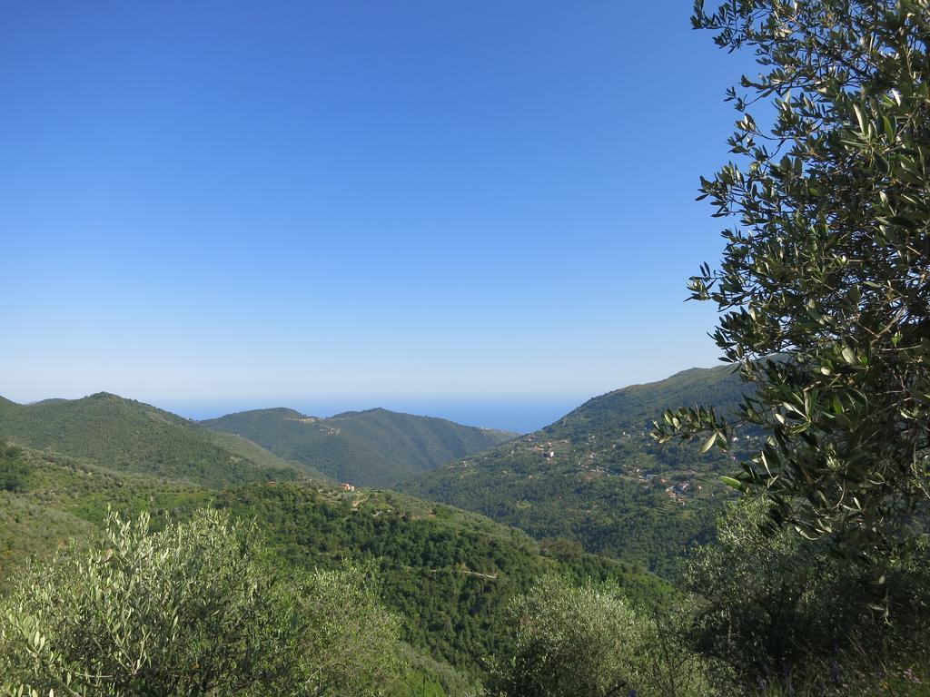 Rustic Liguria Villa Ceriana Dış mekan fotoğraf