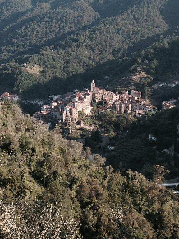 Rustic Liguria Villa Ceriana Dış mekan fotoğraf